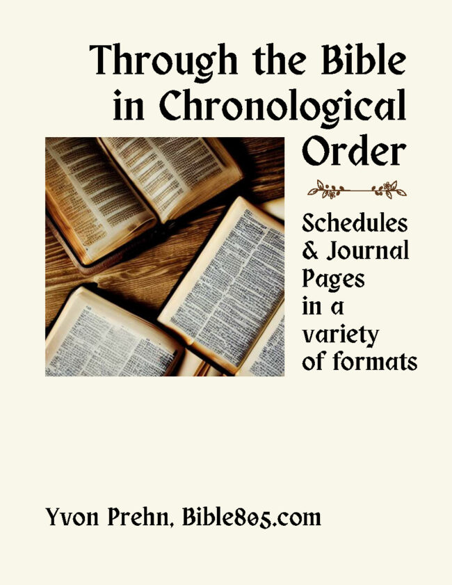 Through The Bible In Chronological Order Schedules And Journal Pages