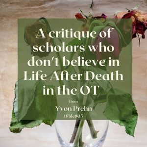 A critique of Scholars who don't believe the OT teaches Life after Death