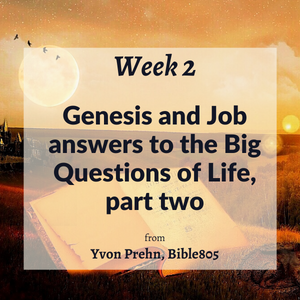 Genesis and Job, part two